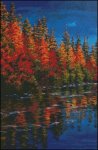 (image for) Autumn Contrast